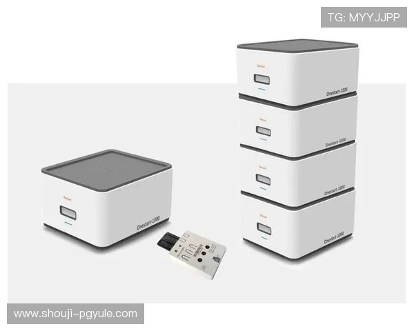 PG国际008下载新平台浏览，详细介绍新版品牌.org的安全保障与用户支持体系