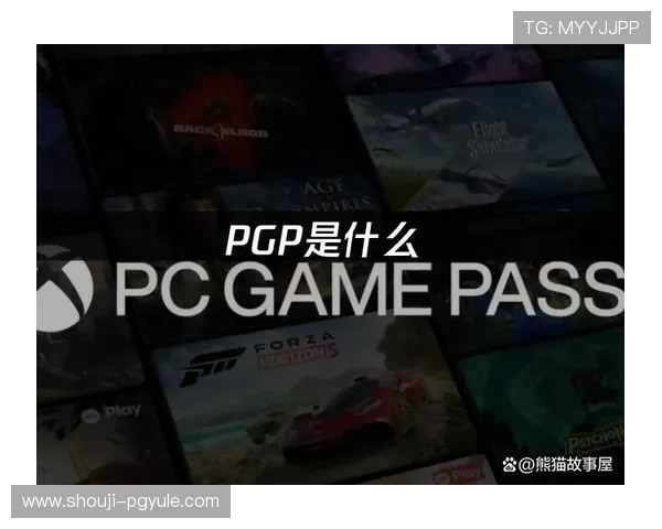 提升数据安全水平必备的PGP在线解密工具使用攻略与实用建议